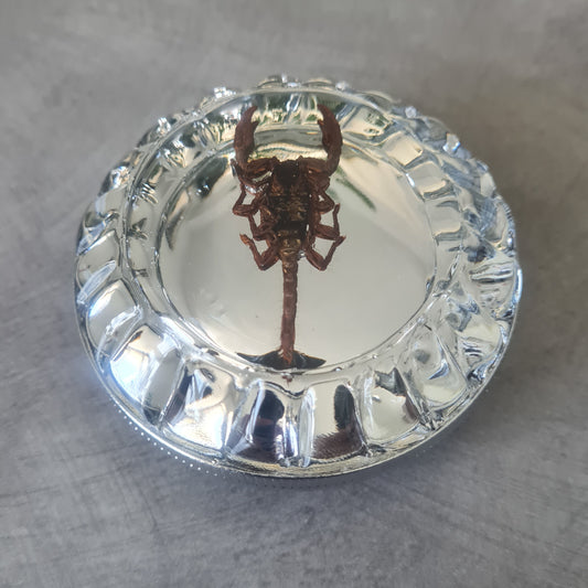 SCORPIO